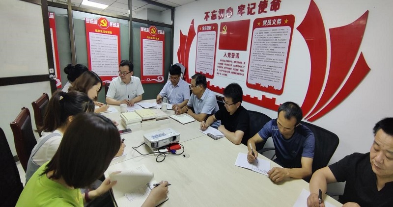 新能源主题党日.jpg