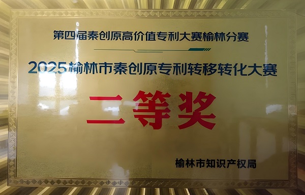 二等奖牌.jpeg