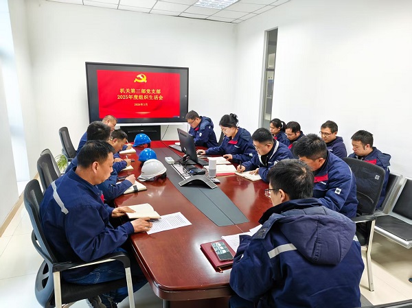 第三党支部召开民主生活会 .jpg