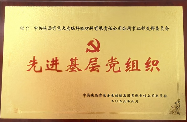 1786419072824913.jpeg 公用事业部党支部.jpg