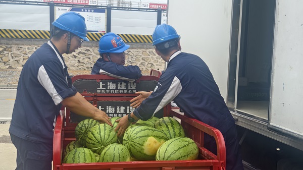 1786584227491931.jpeg 送西瓜.jpg